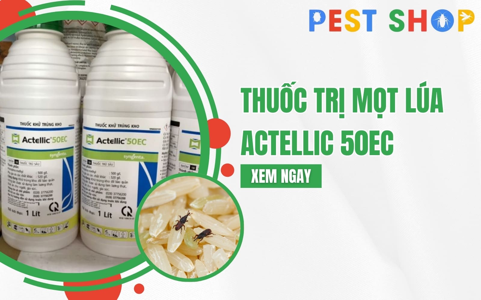 thuốc trị mọt lúa