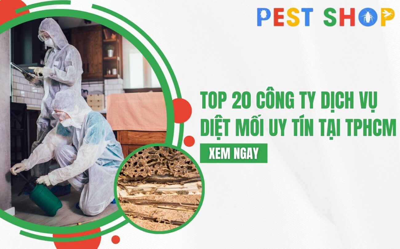 dịch vụ diệt mối