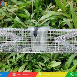 lồng bẫy rắn mối