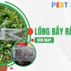 lồng bẫy rắn mối