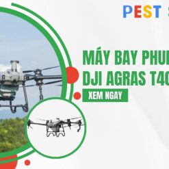 máy bay phun thuốc t40