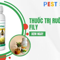 thuốc trị ruồi vàng